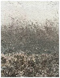 Boynton Beach Restoration Company Boynton Beach, FL 561-303-0292 Boynton Beach Restoration Company Boynton Beach, FL 561-303-0292 - sidebar-03